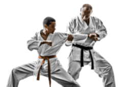 Advanced karate instruction